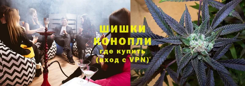 где можно купить наркотик  Норильск  Шишки марихуана White Widow 